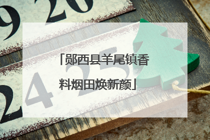 郧西县羊尾镇香料烟田焕新颜