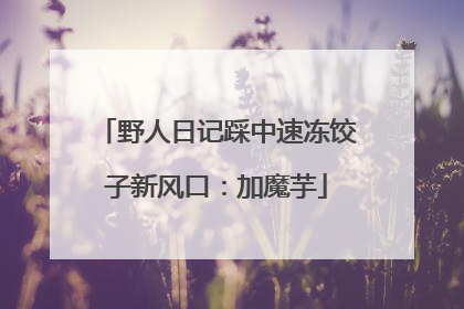 野人日记踩中速冻饺子新风口：加魔芋