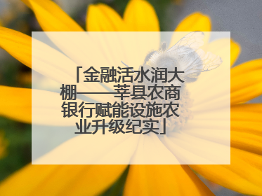 金融活水润大棚——莘县农商银行赋能设施农业升级纪实