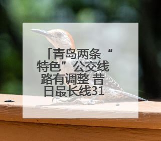 青岛两条“特色”公交线路有调整 昔日最长线312路停运