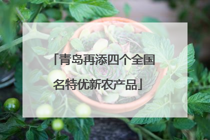 青岛再添四个全国名特优新农产品
