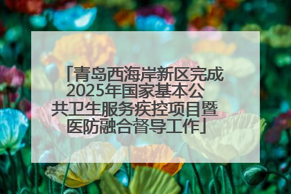 青岛西海岸新区完成2025年国家基本公共卫生服务疾控项目暨医防融合督导工作