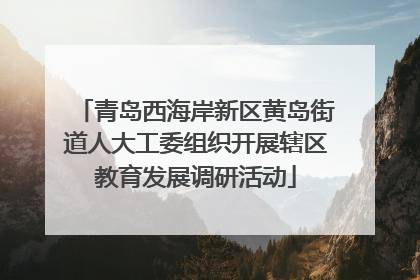 青岛西海岸新区黄岛街道人大工委组织开展辖区教育发展调研活动