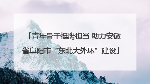 青年骨干挺膺担当 助力安徽省阜阳市“东北大外环”建设