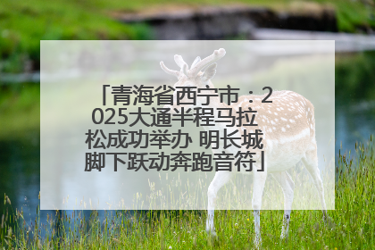 青海省西宁市：2025大通半程马拉松成功举办 明长城脚下跃动奔跑音符