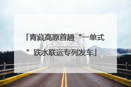 青藏高原首趟“一单式”铁水联运专列发车