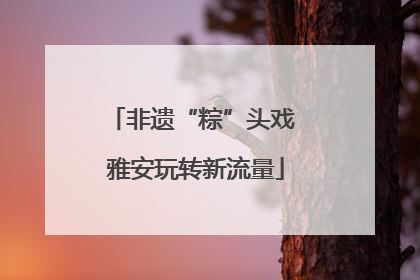 非遗“粽”头戏 雅安玩转新流量