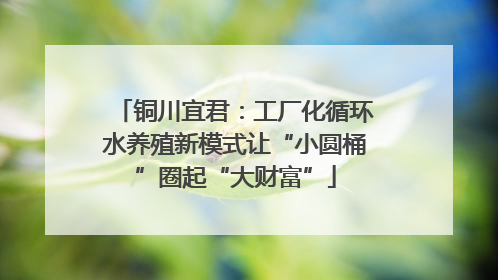 铜川宜君：工厂化循环水养殖新模式让“小圆桶”圈起“大财富”