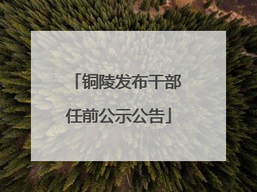 铜陵发布干部任前公示公告