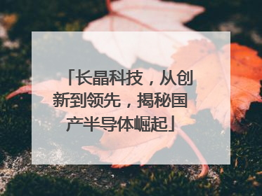 长晶科技，从创新到领先，揭秘国产半导体崛起