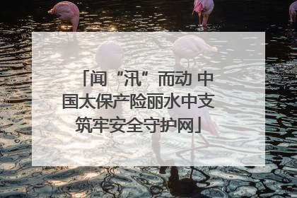 闻“汛”而动 中国太保产险丽水中支筑牢安全守护网