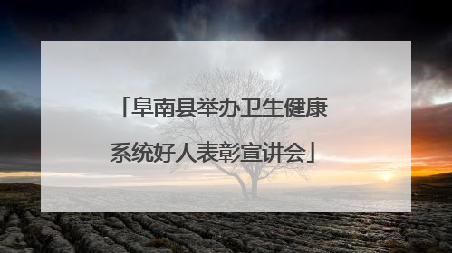 阜南县举办卫生健康系统好人表彰宣讲会