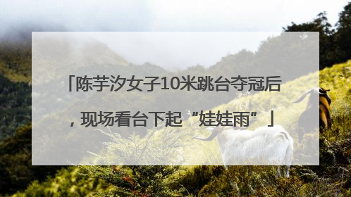 陈芋汐女子10米跳台夺冠后，现场看台下起“娃娃雨”