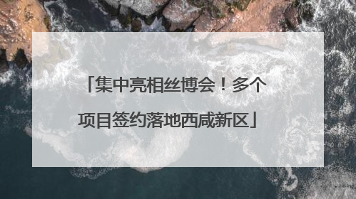 集中亮相丝博会！多个项目签约落地西咸新区