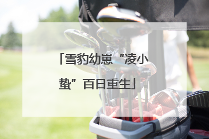 雪豹幼崽“凌小蛰”百日重生