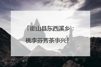霍山县东西溪乡：桃李芬芳茶事兴