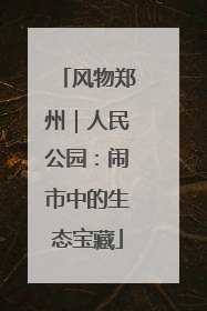 风物郑州｜人民公园：闹市中的生态宝藏