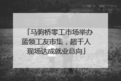 马驹桥零工市场举办蓝领工友市集，超千人现场达成就业意向