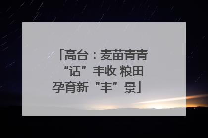 高台：麦苗青青“话”丰收 粮田孕育新“丰”景