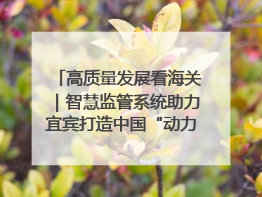 高质量发展看海关｜智慧监管系统助力宜宾打造中国“动力电池之都”