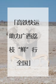 高铁快运助力广西荔枝“鲜”行全国