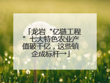 龙岩“亿链工程”七大特色农业产值破千亿，这些镇企成标杆→
