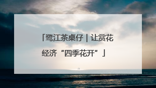 鹭江茶桌仔｜让赏花经济“四季花开”