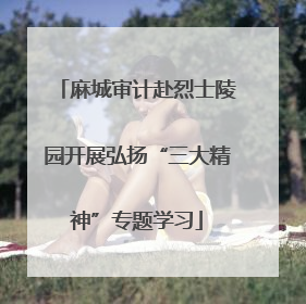 麻城审计赴烈士陵园开展弘扬“三大精神”专题学习