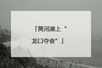 黄河滩上“龙口夺食”