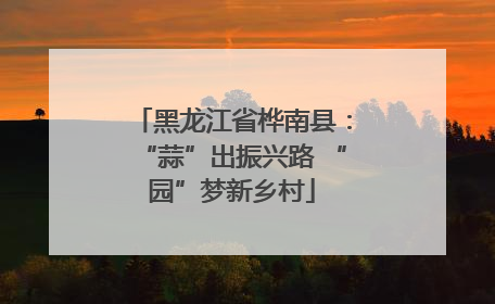 黑龙江省桦南县：“蒜”出振兴路 “园”梦新乡村