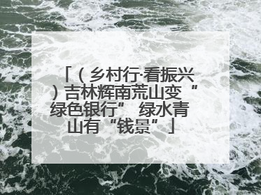 （乡村行·看振兴）吉林辉南荒山变“绿色银行” 绿水青山有“钱景”