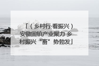 （乡村行·看振兴）安徽固镇产业聚力 乡村振兴“畜”势勃发