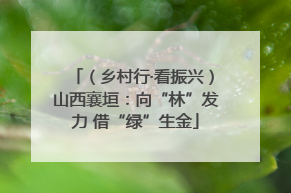 （乡村行·看振兴）山西襄垣：向“林”发力 借“绿”生金