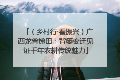（乡村行·看振兴）广西龙脊梯田：背篓变迁见证千年农耕传统魅力