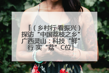 （乡村行·看振兴）探访“中国荔枝之乡”广西灵山：科技“鲜”行 实“荔”C位