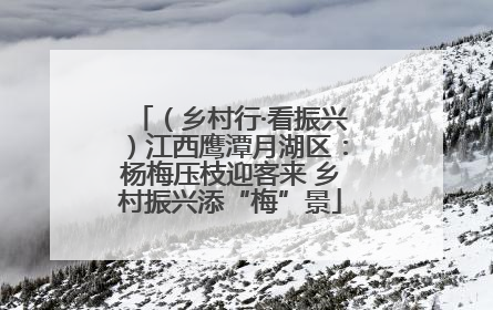 （乡村行·看振兴）江西鹰潭月湖区：杨梅压枝迎客来 乡村振兴添“梅”景