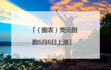 （图表）美元指数6月6日上涨