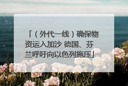 （外代一线）确保物资运入加沙 德国、芬兰呼吁向以色列施压