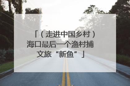 （走进中国乡村）海口最后一个渔村捕文旅“新鱼”