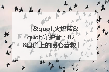 "火焰蓝"守护者：028县道上的暖心营救