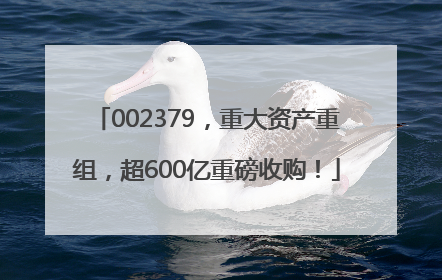 002379，重大资产重组，超600亿重磅收购！