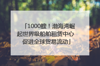 1000艘！渤海湾崛起世界级船舶租赁中心 促进全球贸易流动