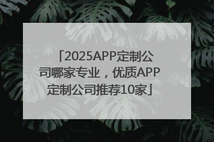 2025APP定制公司哪家专业，优质APP定制公司推荐10家