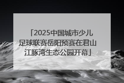 2025中国城市少儿足球联赛岳阳预赛在君山江豚湾生态公园开幕