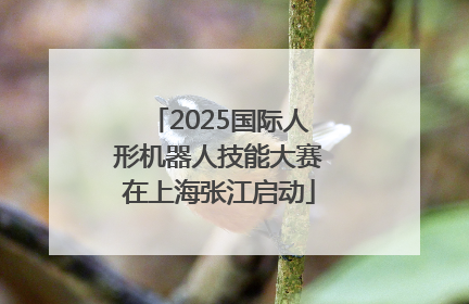 2025国际人形机器人技能大赛在上海张江启动