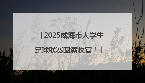 2025威海市大学生足球联赛圆满收官！