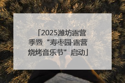 2025潍坊露营季暨“寿枣园·露营烧烤音乐节”启动