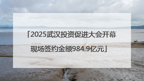 2025武汉投资促进大会开幕 现场签约金额984.9亿元