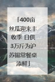 400亩丝瓜迎来丰收季 日供3万斤为沪苏锡常餐桌添鲜