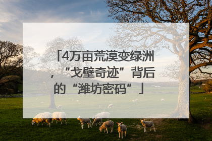 4万亩荒漠变绿洲，“戈壁奇迹”背后的“潍坊密码”